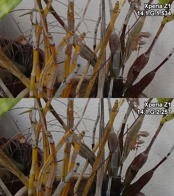 131028-xperia-z1-before-after-software-update-3